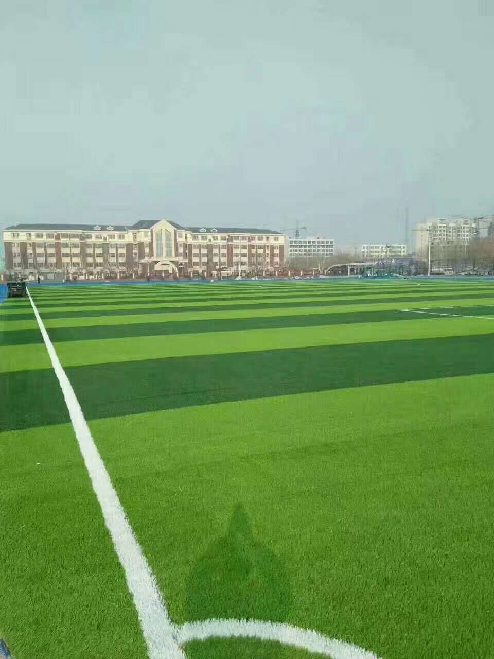 达州市学校运动操场仿真草坪 - 一站式服务